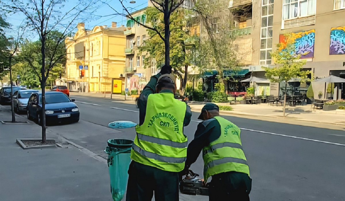 На вулиці Сумській у Харкові зрізають сухі дерева