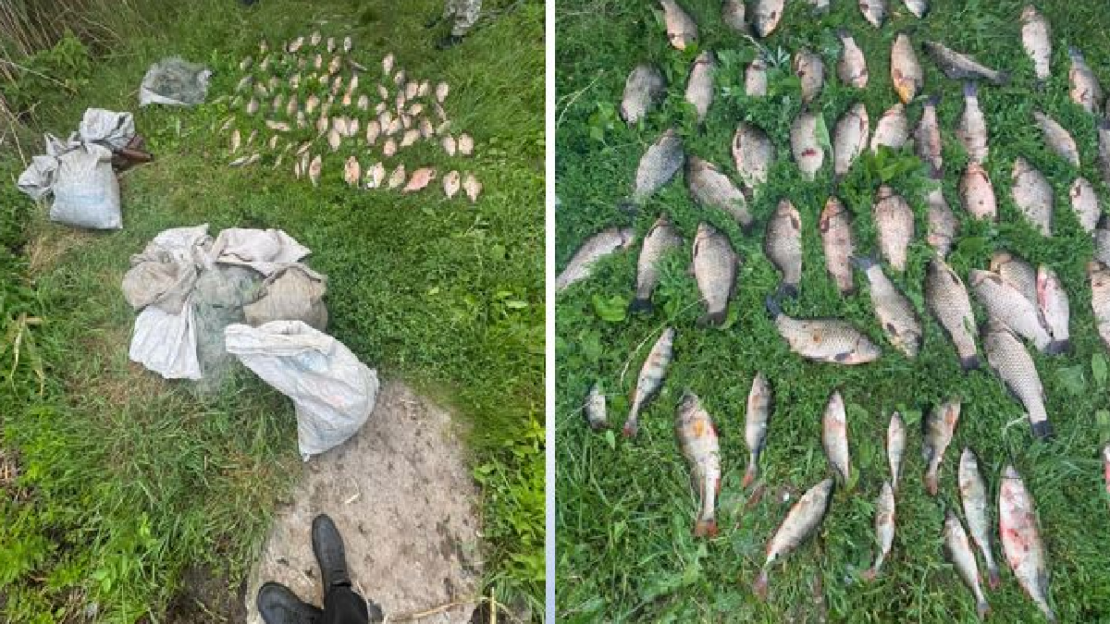 На Орільському водосховищі підприємець ловив рибу сітками