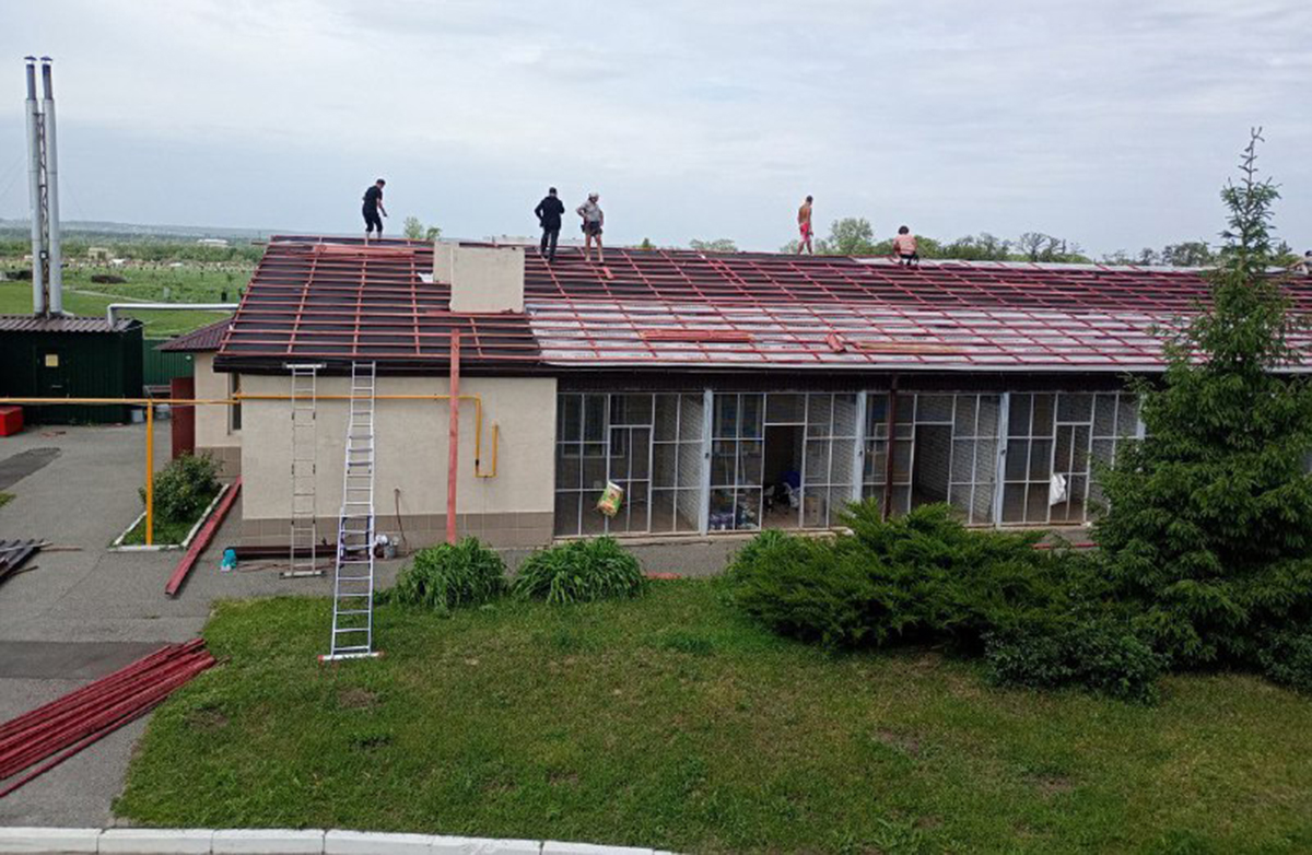 У харківському притулку відремонтували будинок для котів