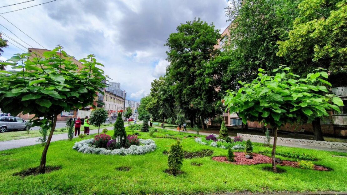 Харківські комунальники знайшли альтернативу газонній траві (фото)