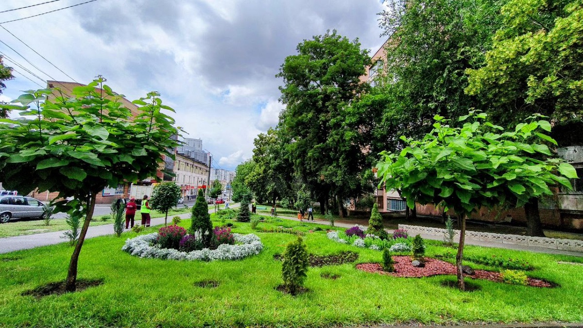 Харківські комунальники знайшли альтернативу газонній траві (фото)