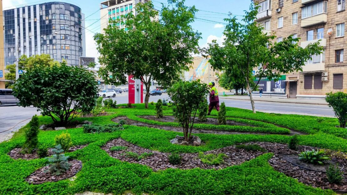 Харківські комунальники знайшли альтернативу газонній траві (фото)