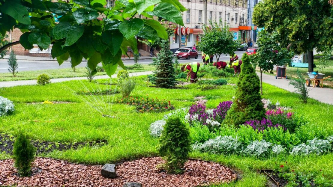 Харківські комунальники знайшли альтернативу газонній траві (фото)