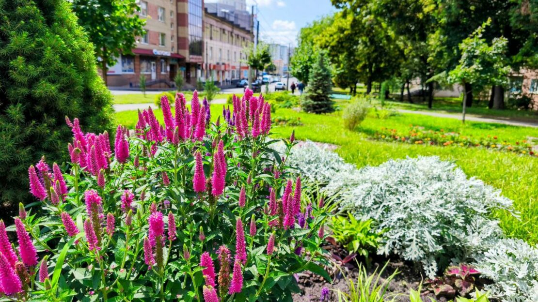 Харківські комунальники знайшли альтернативу газонній траві (фото)