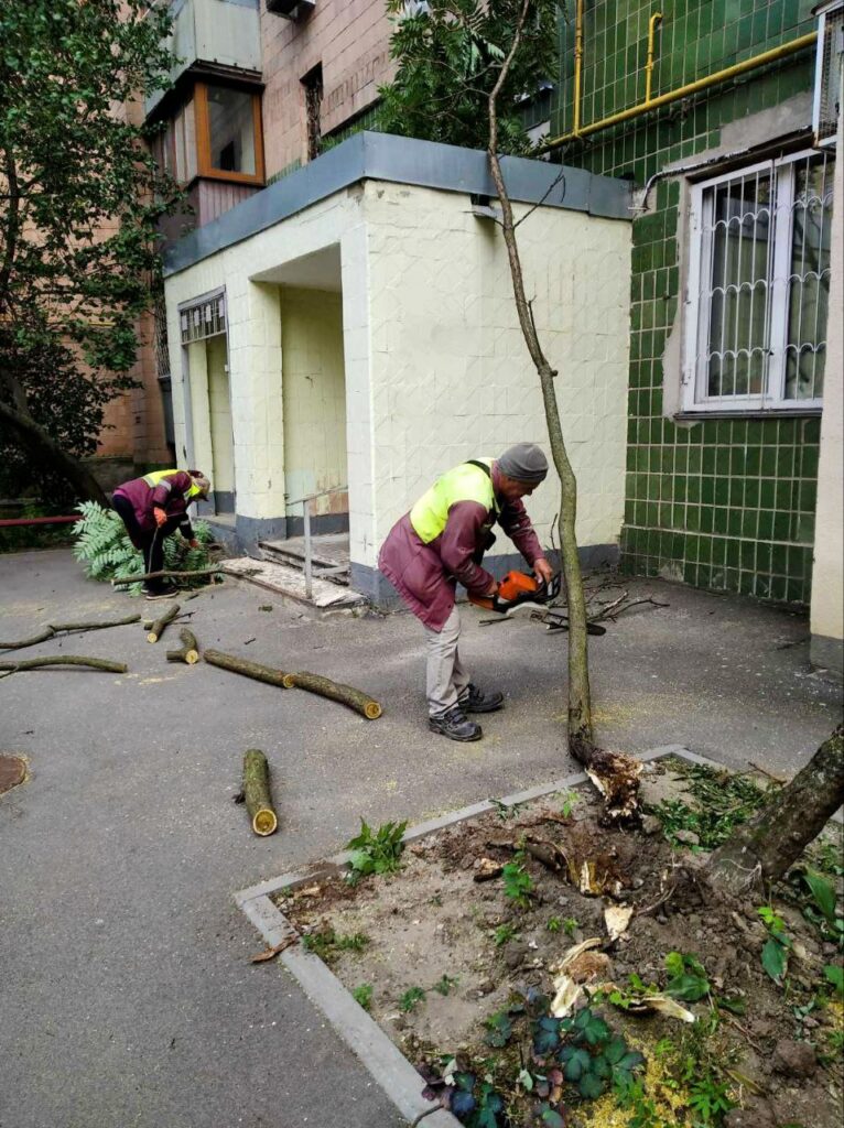 Негода у Харкові: комунальники досі прибирають повалені дерева