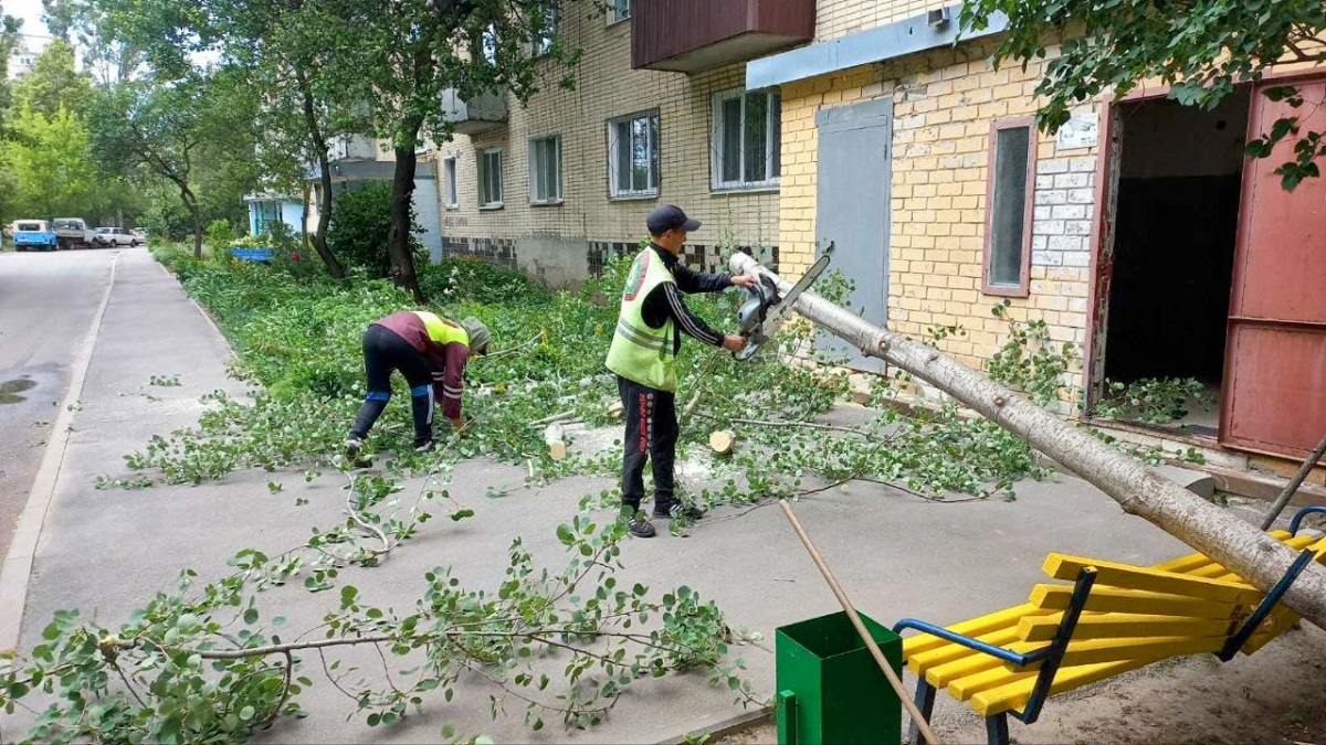 Негода у Харкові: комунальники досі прибирають повалені дерева