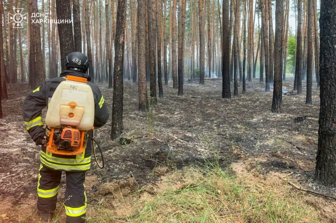 Росіяни продовжують підпалювати ліси на Харківщині (фото)