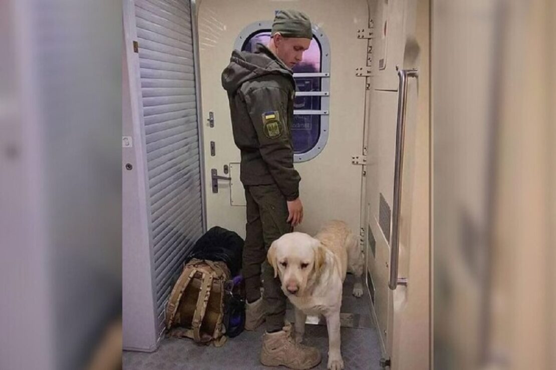 Укрзалізниця оновила правила перевезення тварин в поїздах