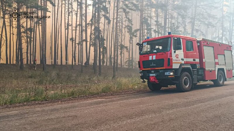 На Харківщині горять ліси та поля (фото)