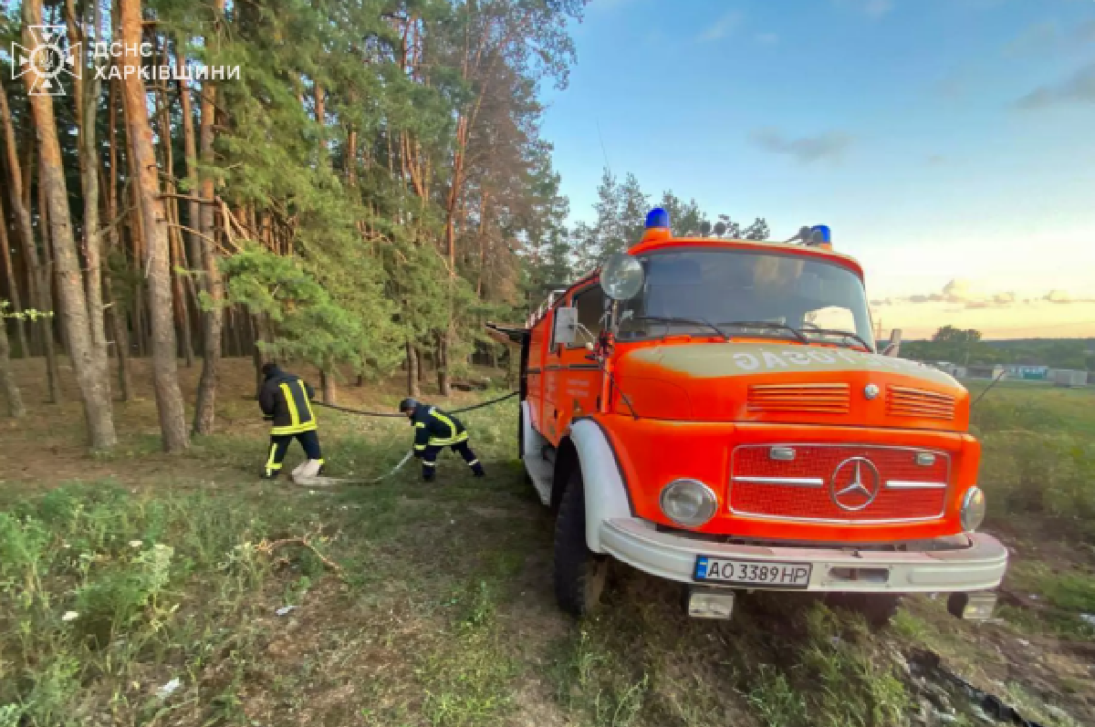 В Чугуївському районі ліквідували лісову пожежу