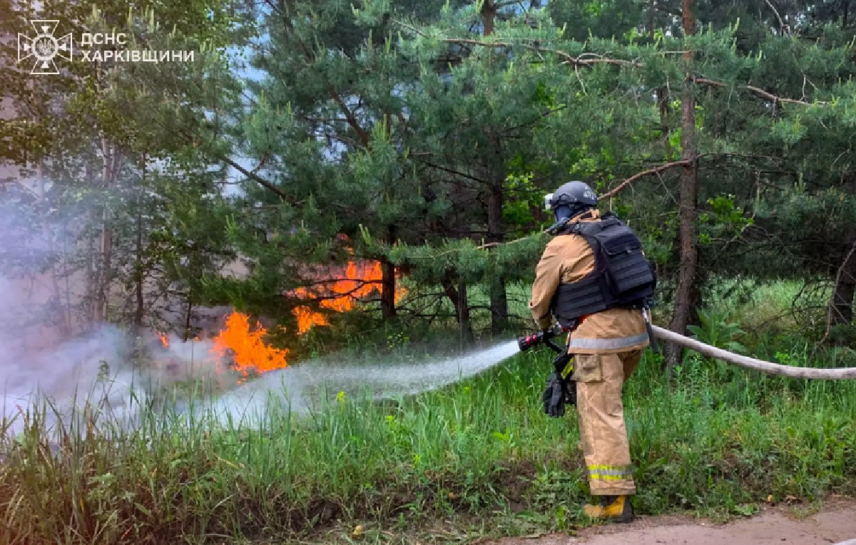 На Харківщині через ворожі обстріли горить понад 45 га лісу
