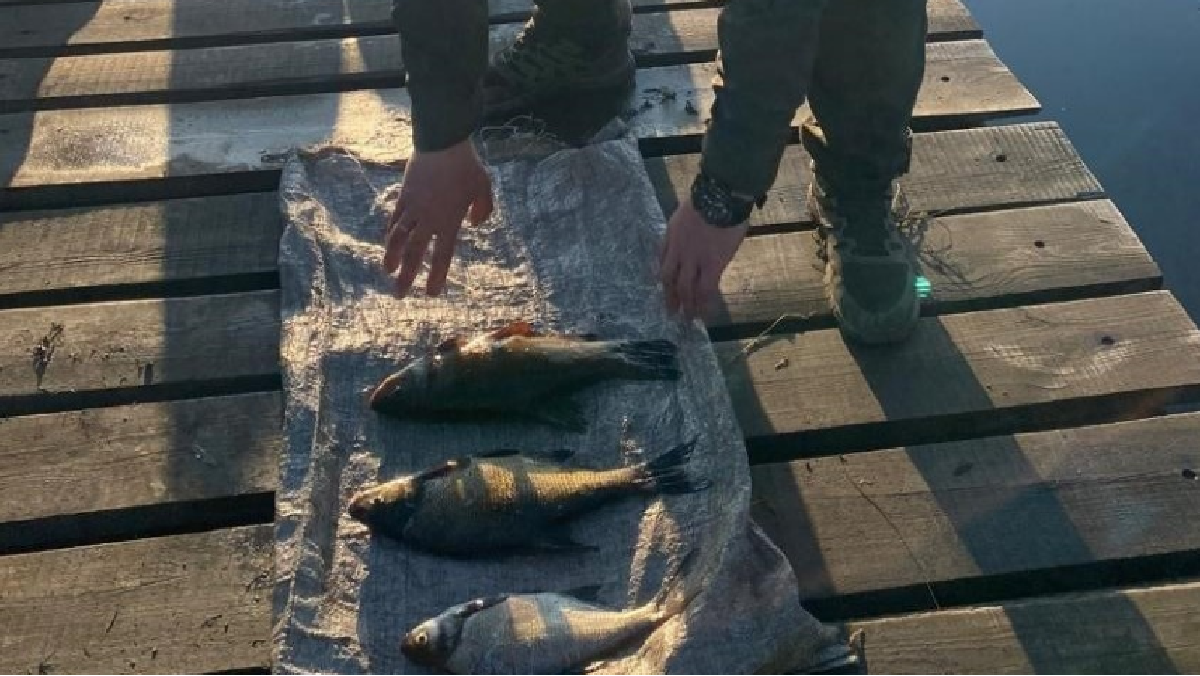 Екоінспектори спіймали браконьєра в Лозівському районі