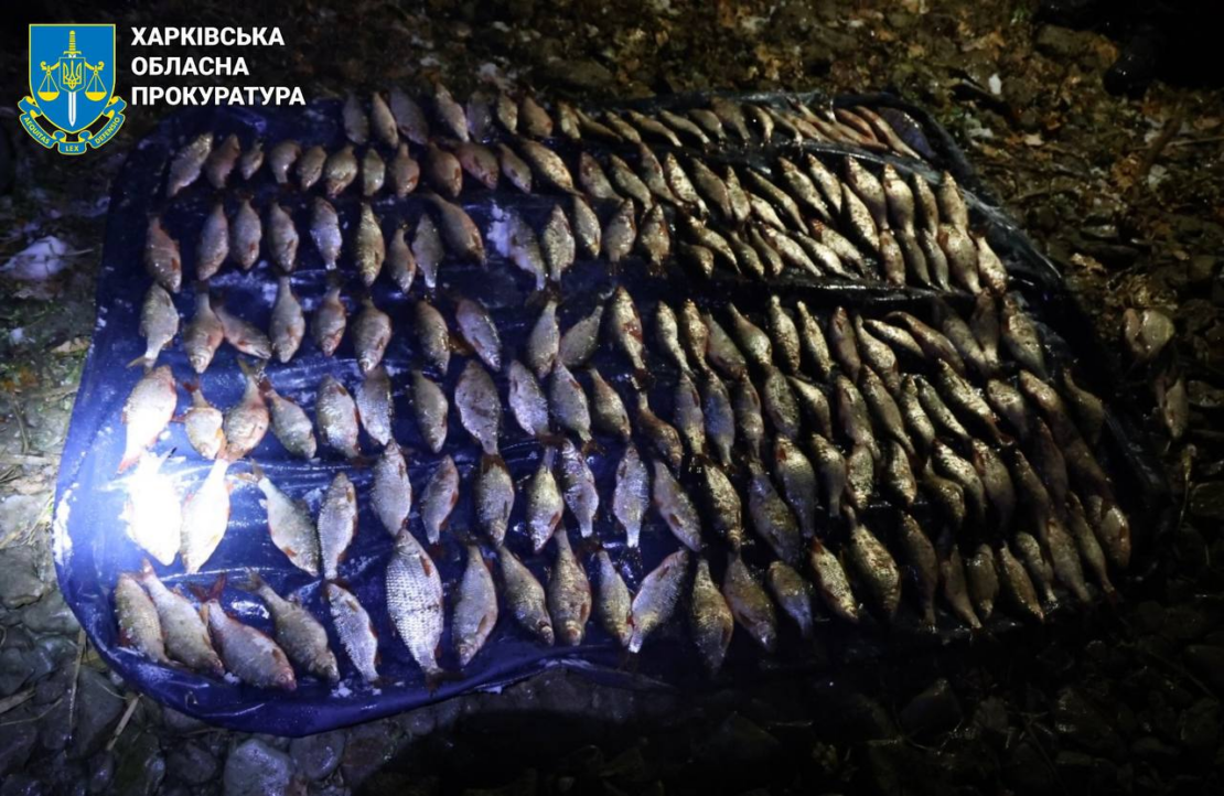 Нелегально наловив риби на 750 тис. гривень: на Харківщині затримали браконьєра