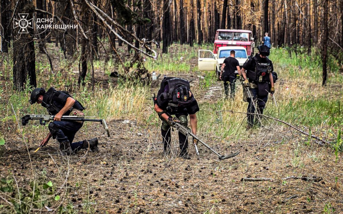 Пожежники Харківщини загасили масштабну лісову пожежу в Ізюмському районі