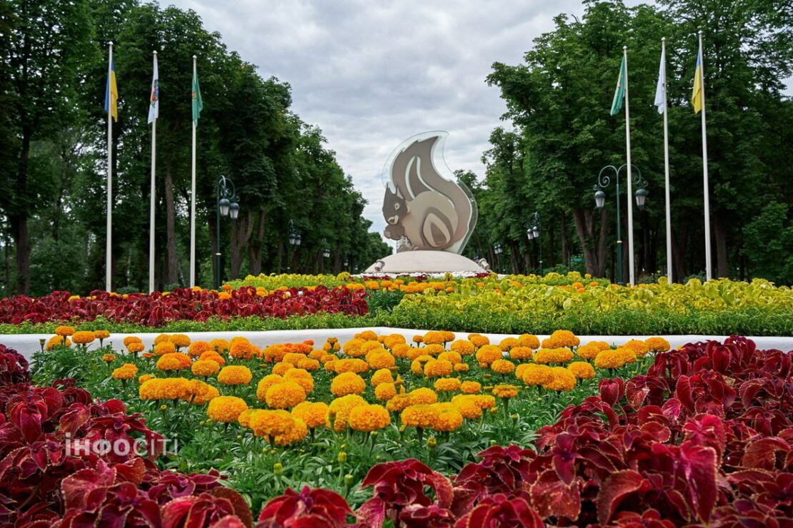 Центральний парк запрошує на літній релакс (фото)