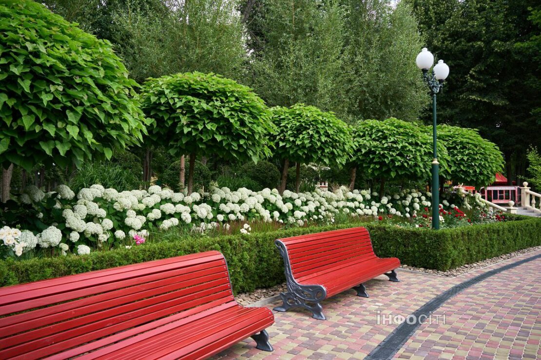 Центральний парк запрошує на літній релакс (фото)