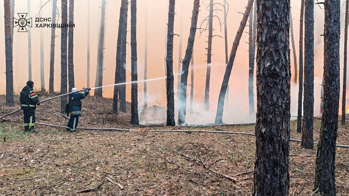 У Харківській области триває ліквідація лісових пожеж