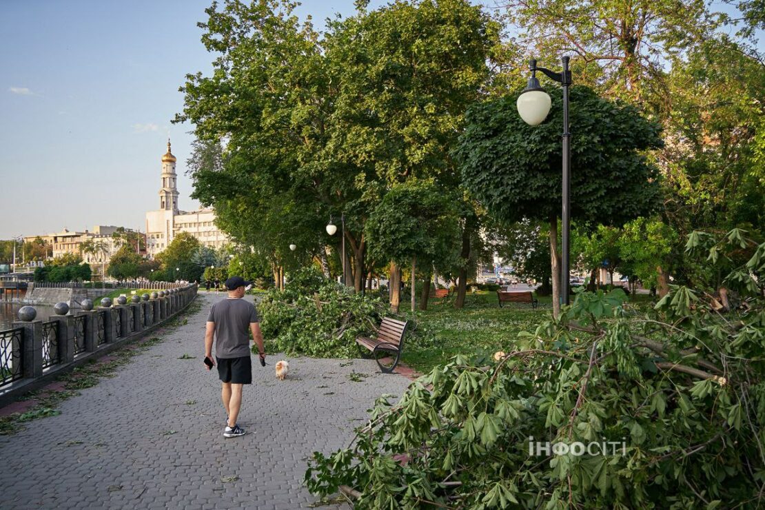 Що наробила стихія в парках Харкова (фото)