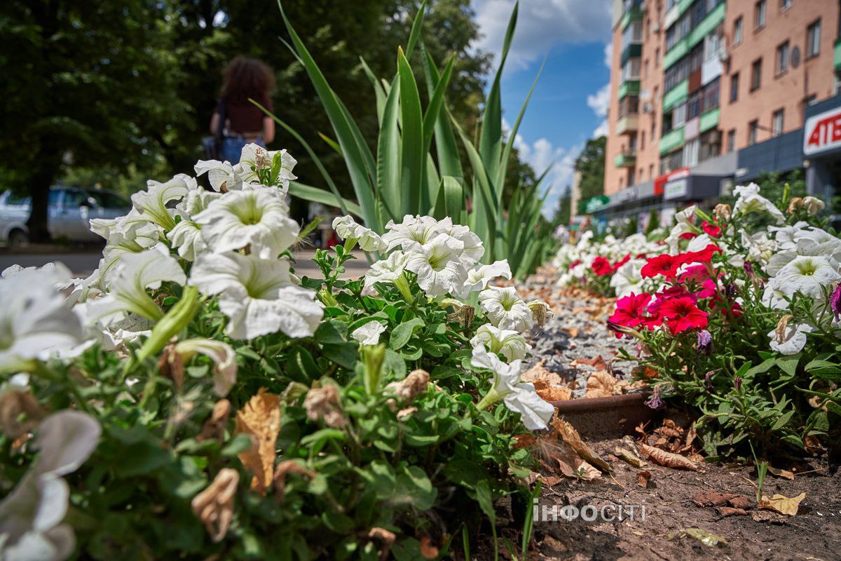 Яскраві квітники у Слобідському районі - Новини Харків