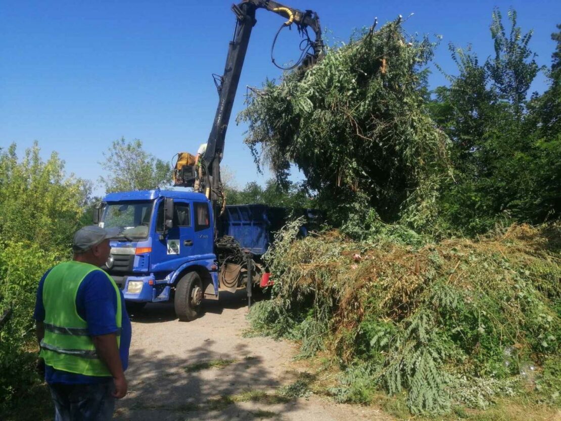 Комунальники наводять лад на харківських кладовищах (фото)