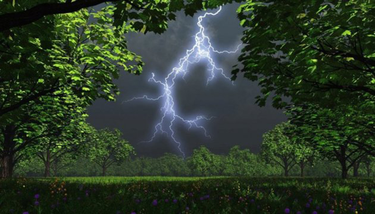 7 серпня на Харківщині очікується гроза та град