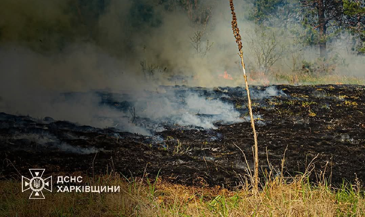 За тиждень в екосистемах Харківщини сталося 135 пожеж