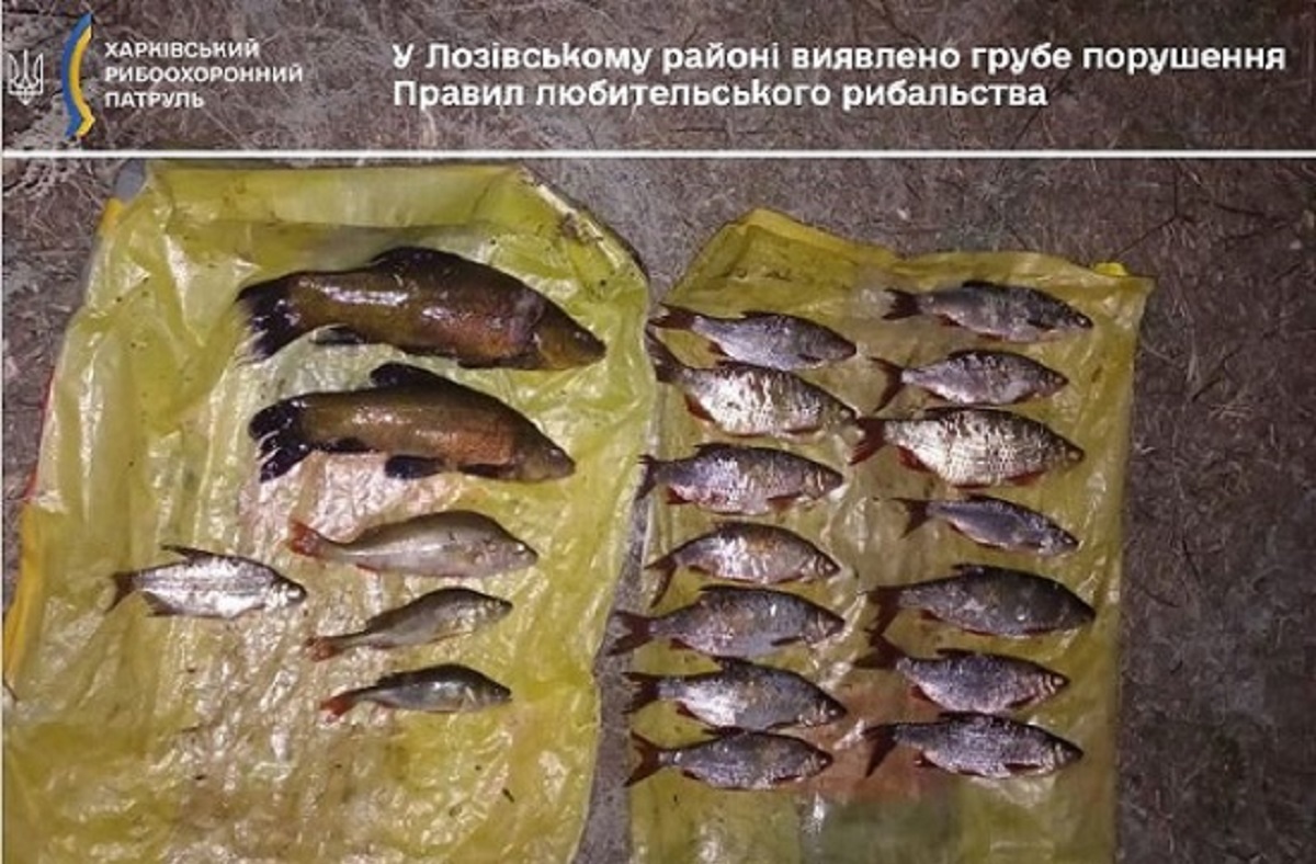 На Харківщині рибоохоронний патруль викрив чергового браконьєра
