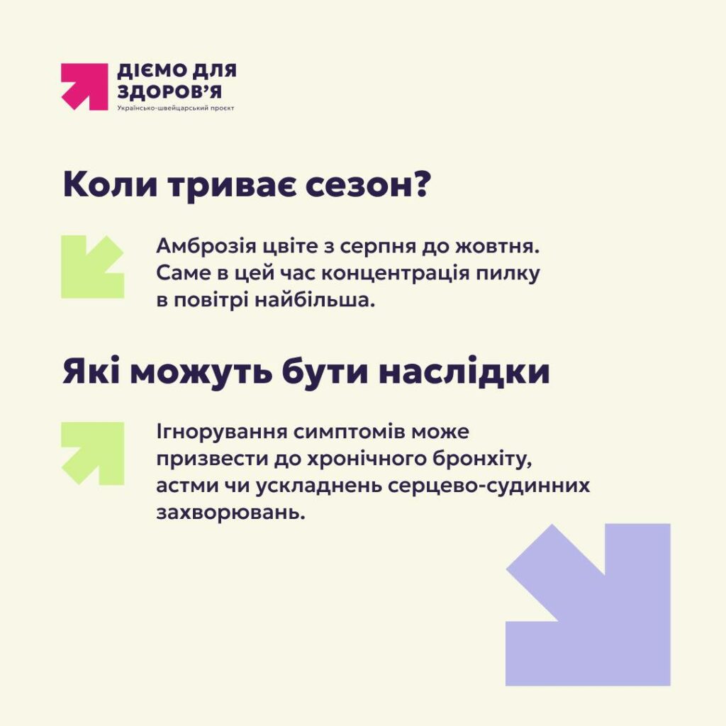 Алергія на амброзію: як розпізнати симптоми та діяти