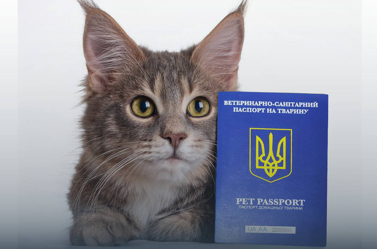 Як оформити ветеринарний паспорт для домашньої тварини