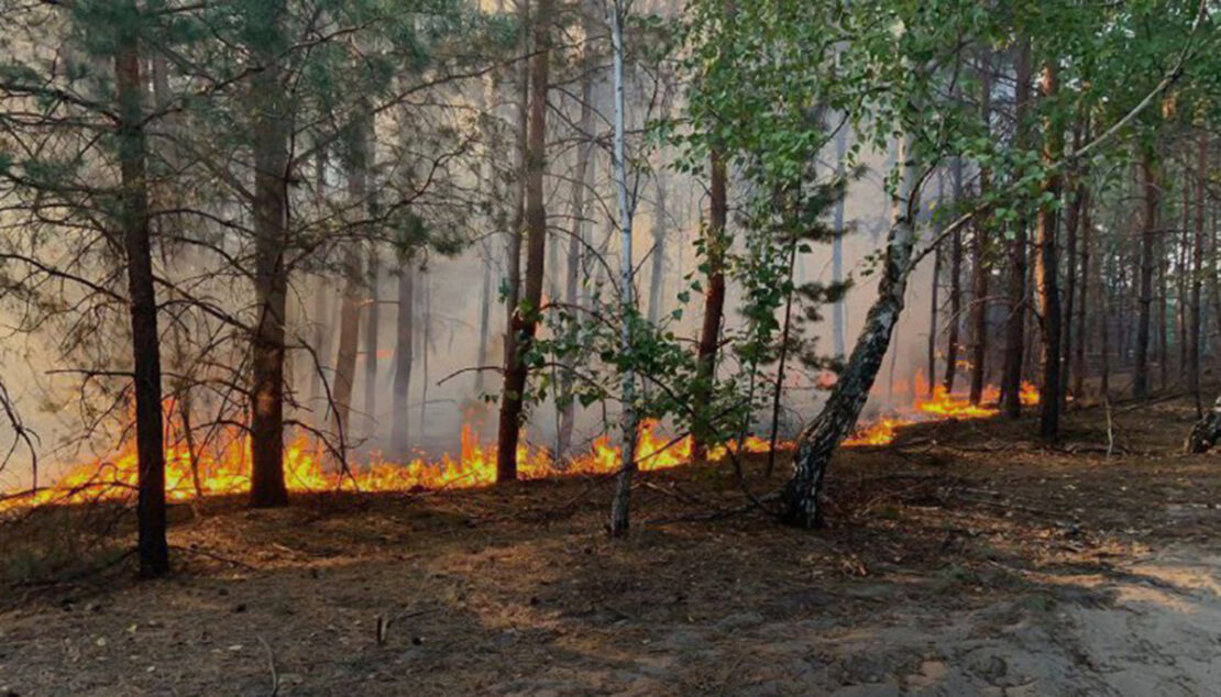 На Харківщині прогнозують пожежну небезпеку