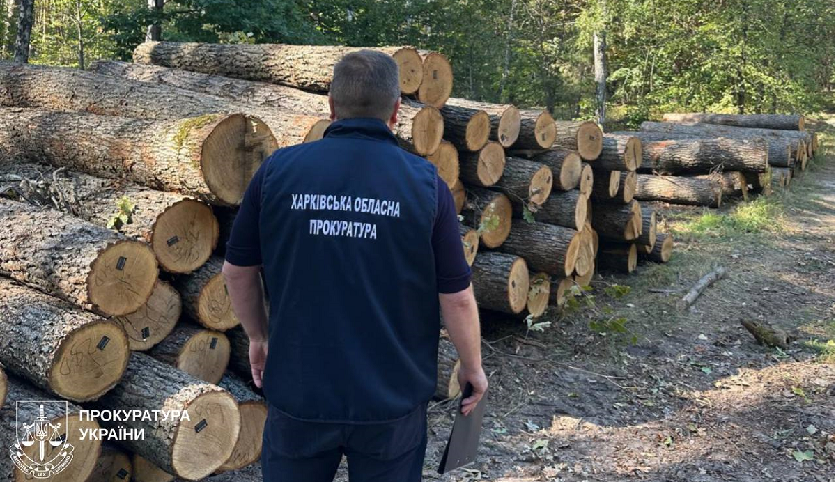 На Харківщині екскерівник лісгоспу накопичив на підприємстві мільйонні борги