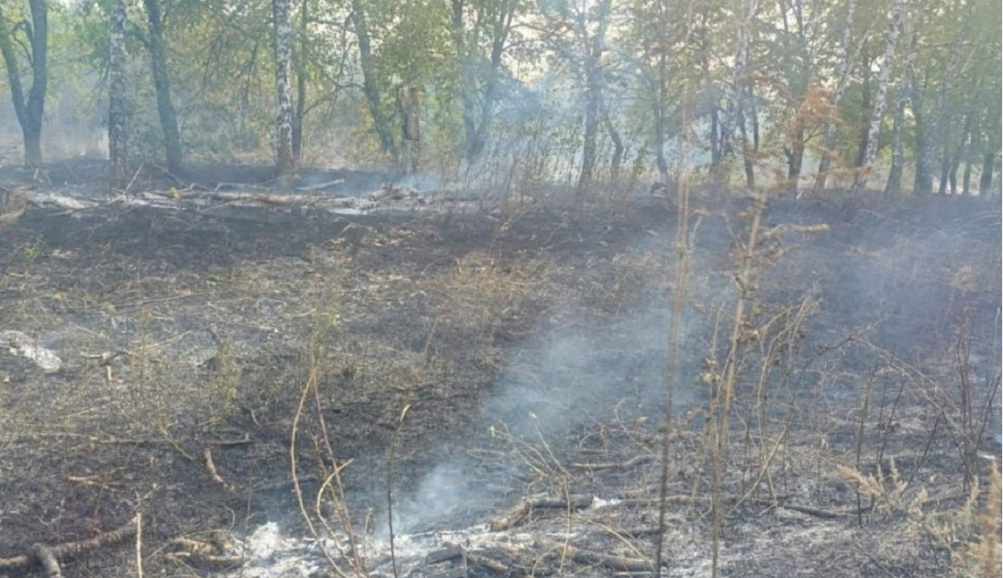 Обстріли Харківської області: рятувальники загасили сім пожеж