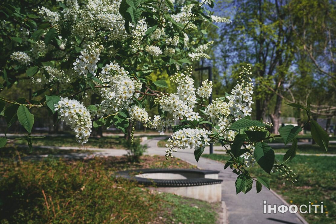 Прогноз погоди у Харкові на 2 вересня 2025 року