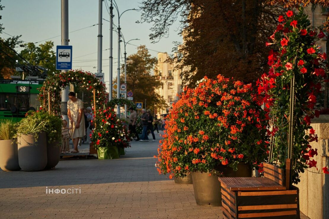 Осінні барви Харкова. Фоторепортаж