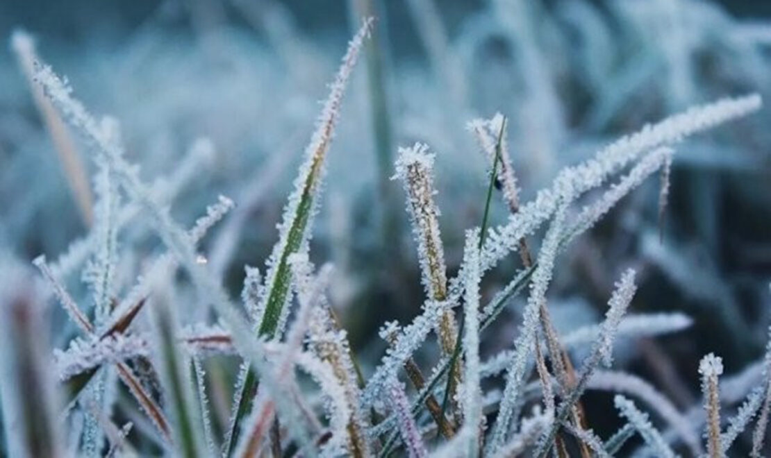 На Харківщині прогнозують нічні заморозки