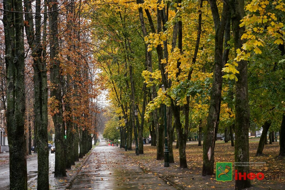 Прогноз погоди у Харкові на 29 жовтня 2025 року