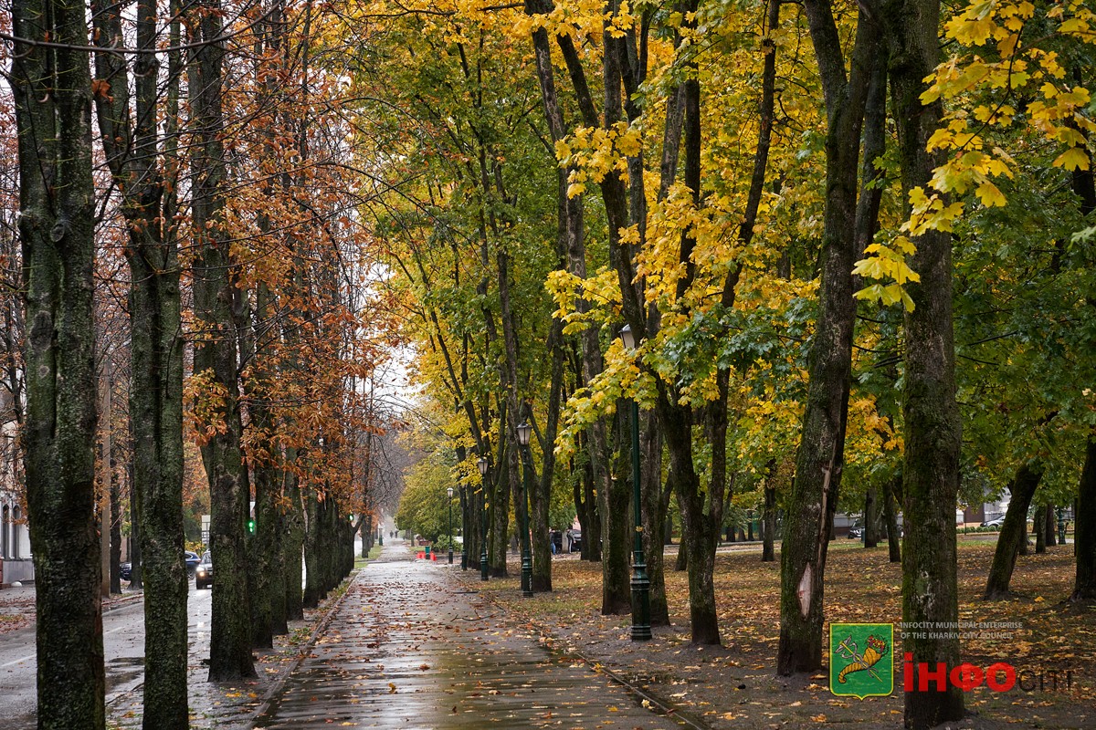 Прогноз погоди у Харкові на 29 жовтня 2025 року