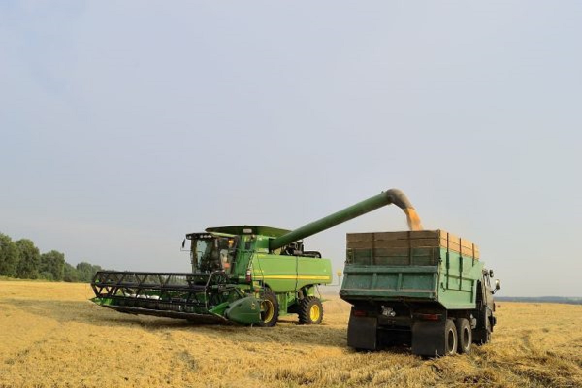 Аграрії прогнозують стабільність на внутрішньому ринку