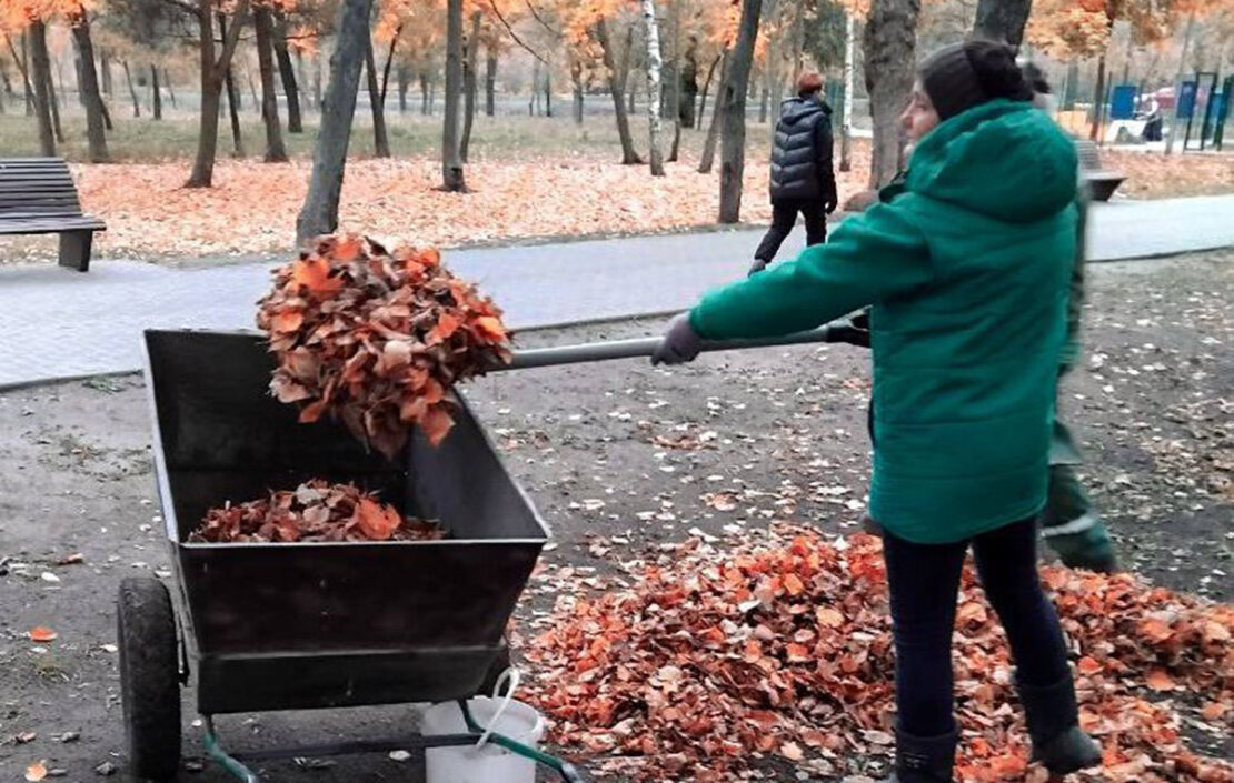 З харківських парків вивезли 255 кубометрів опалого листя
