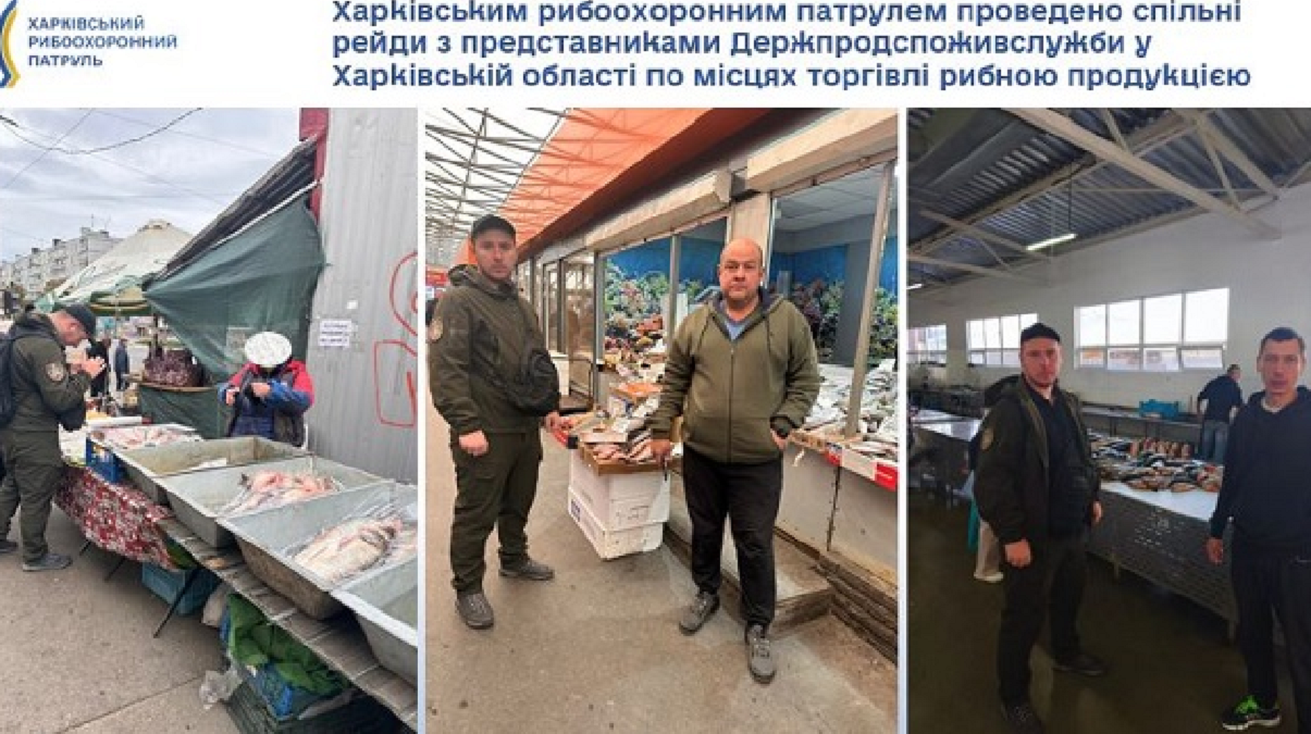 На ринках Харкова та області перевірили законність реалізації живої риби