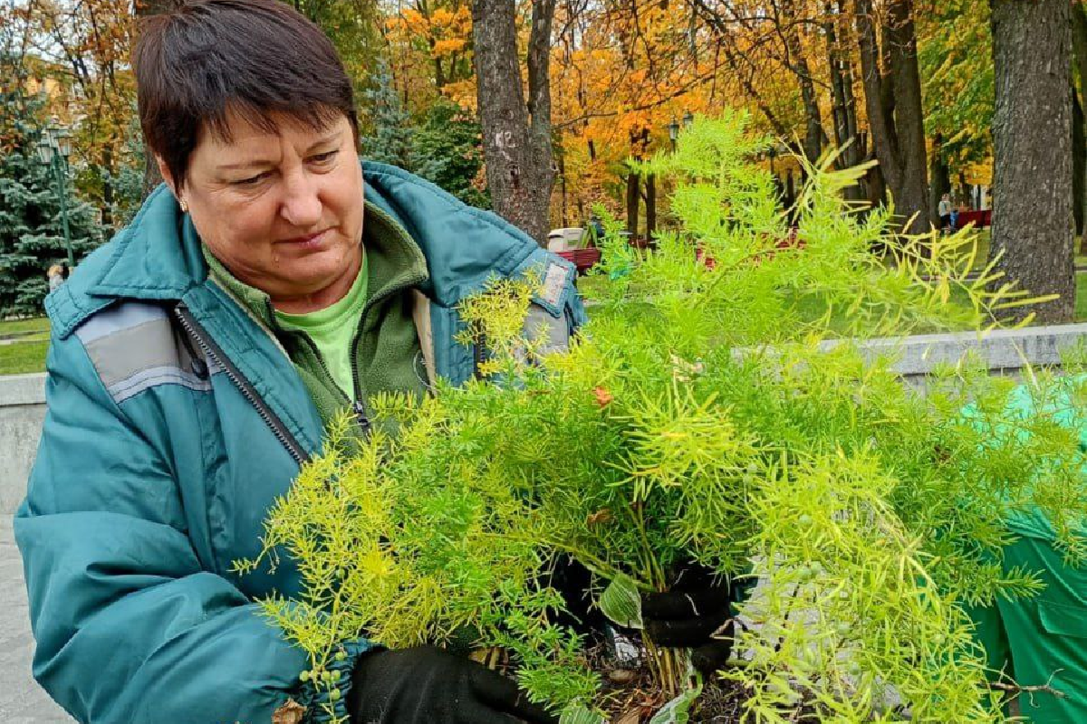 Квітники в саду Шевченка готують до зими (фото)