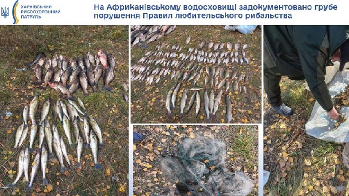 Понад 180 кг риби та раків виловили браконьєри на Африканівському водосховищі