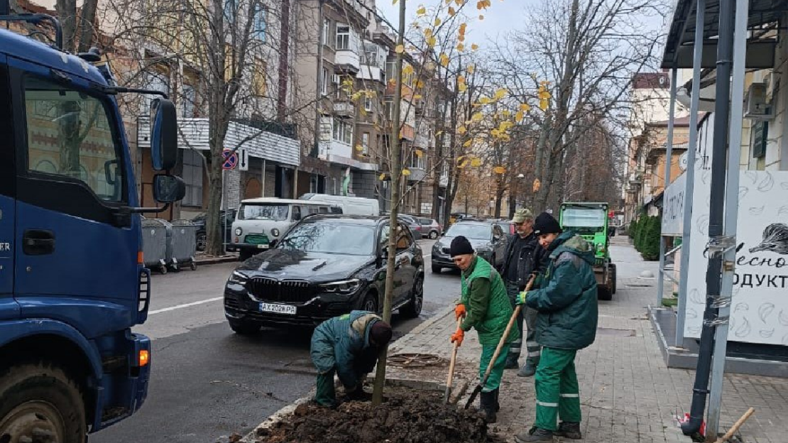 У центрі Харкова висадили нові липи (фото)