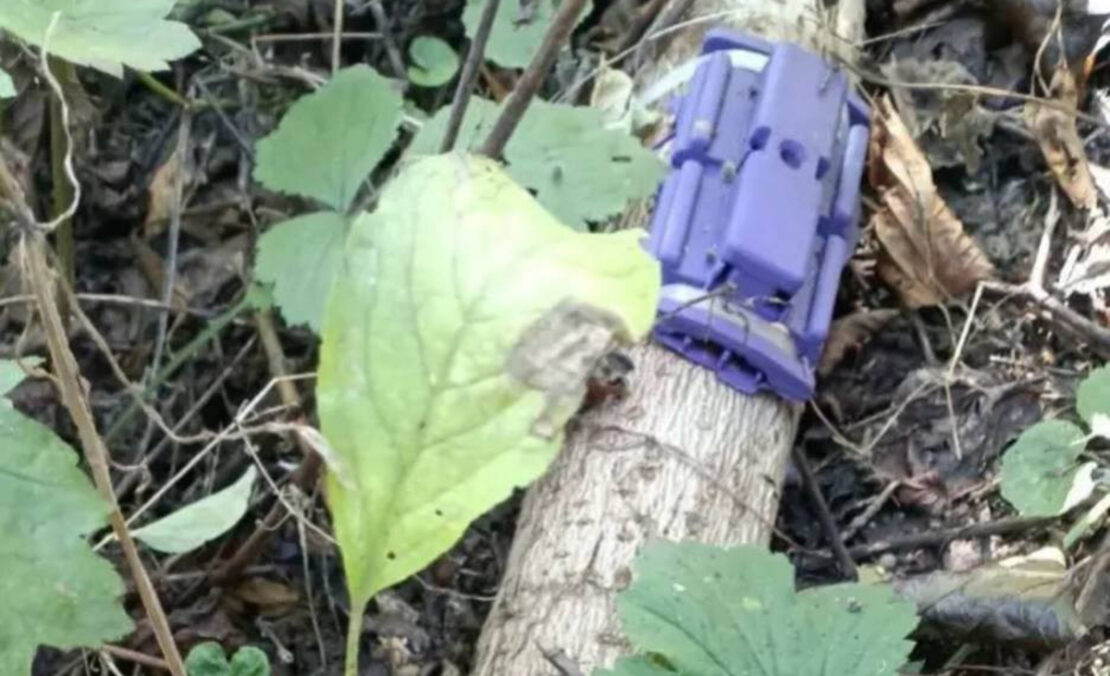 Ворог мінує Харківщину «дровами-обманками» з вибухівкою