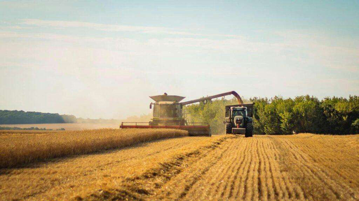 В Україні зібрали понад 40 млн тонн зерна