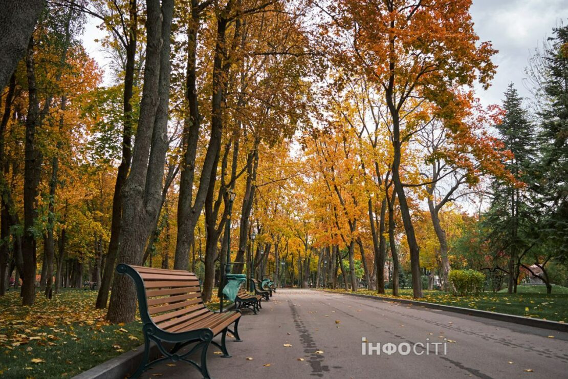 Осінні барви в саду Шевченка (фото)