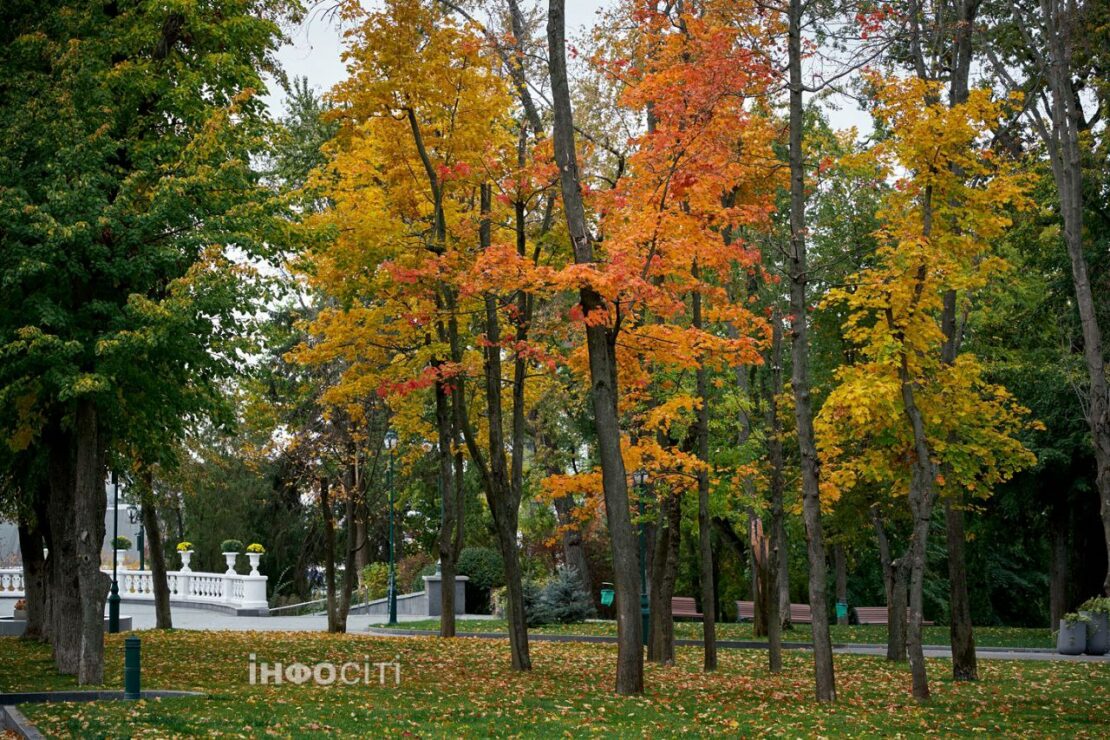 Осінні барви в саду Шевченка (фото)
