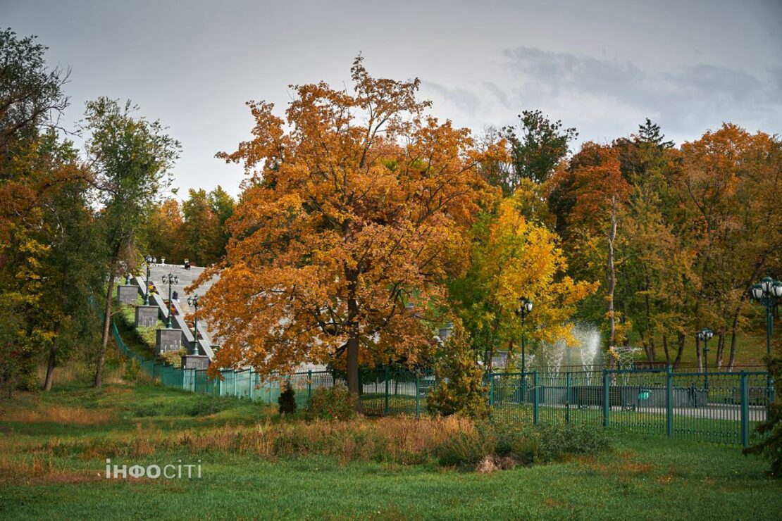 Осінні барви в саду Шевченка (фото)