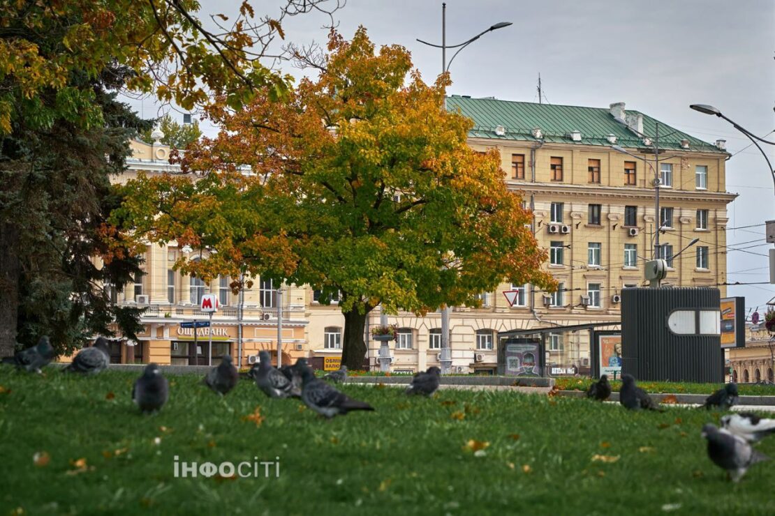 Осінні барви в саду Шевченка (фото)