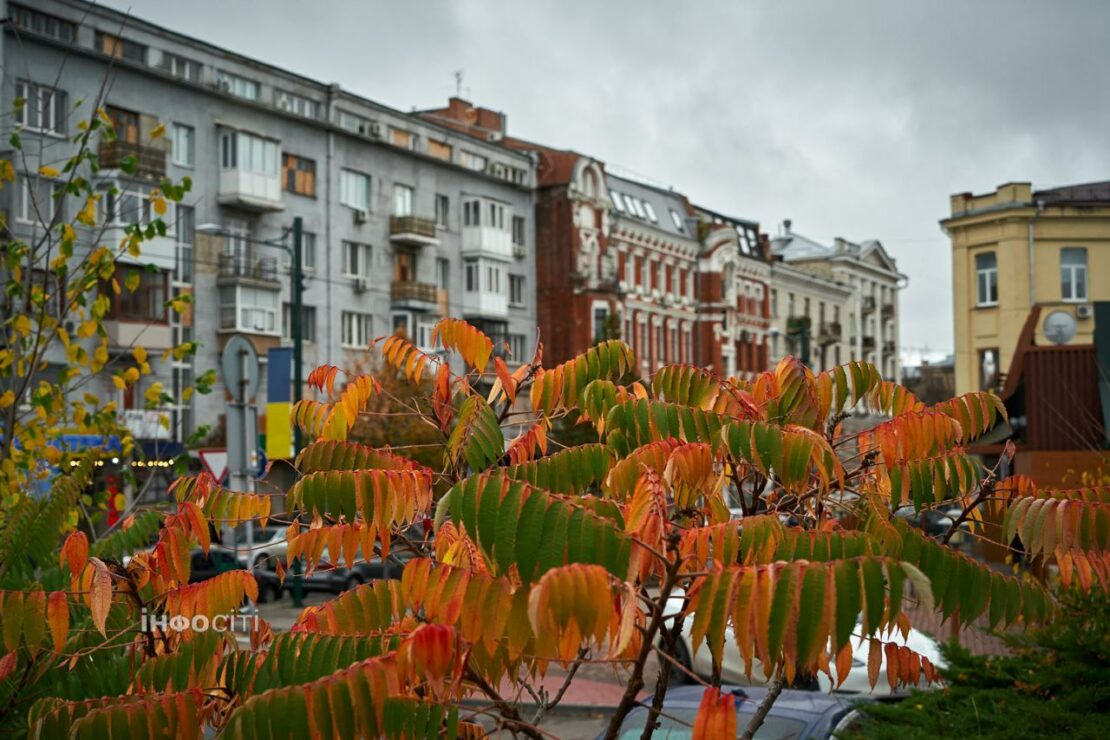 Легка меланхолія осіннього Харкова. Фоторепортаж
